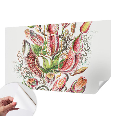 Fototapetas vaikams Augalų detalės