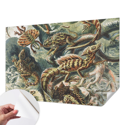 Fototapetai Egzotinių ryklių