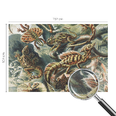 Fototapetai Egzotinių ryklių