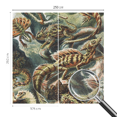 Fototapetai Egzotinių ryklių