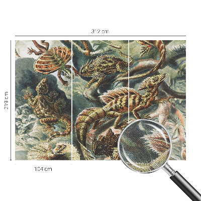 Fototapetai Egzotinių ryklių