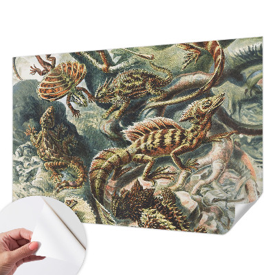 Fototapetai Egzotinių ryklių