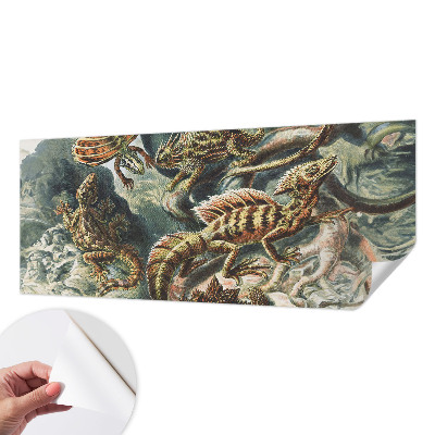 Fototapetai Egzotinių ryklių