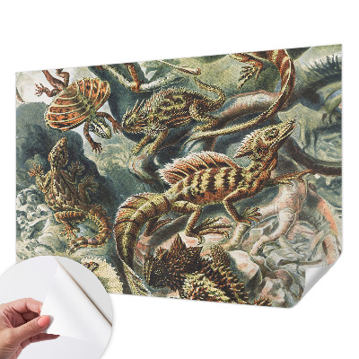 Fototapetai Egzotinių ryklių