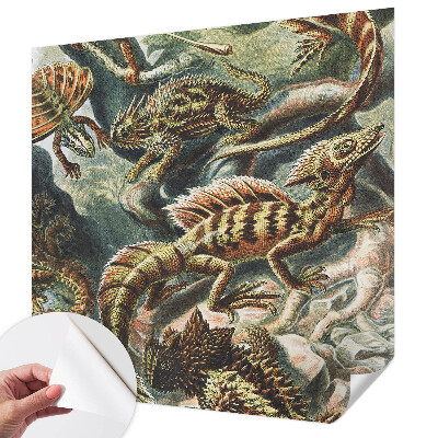 Fototapetai Egzotinių ryklių