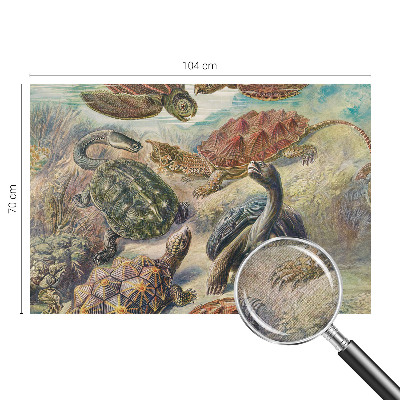 3D fototapetas Skildpaddefauna