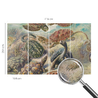 3D fototapetas su skildpaddefaunos motyvu