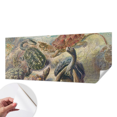 3D fototapetas su skildpaddefaunos motyvu
