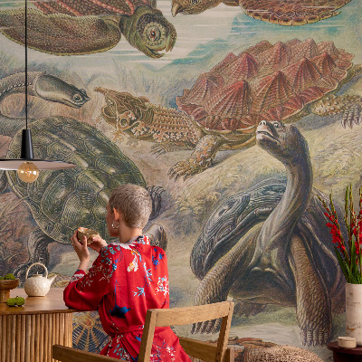 3D fototapetas Skildpaddefauna