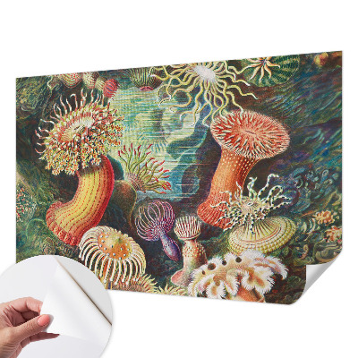 3D fototapetas sienoms su išgalvoto anemono motyvu