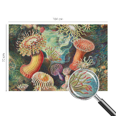 3D fototapetas sienoms su išgalvoto anemono motyvu