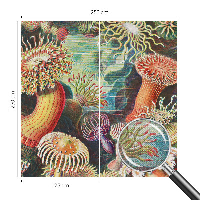 3D fototapetas sienoms su išgalvoto anemono motyvu