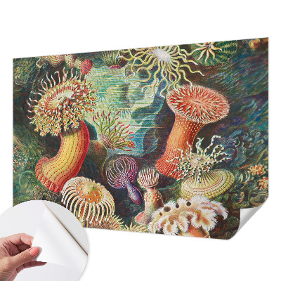 3D fototapetas sienoms su išgalvoto anemono motyvu
