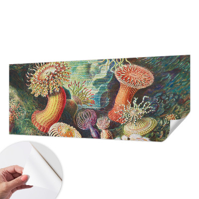 3D fototapetas sienoms su išgalvoto anemono motyvu
