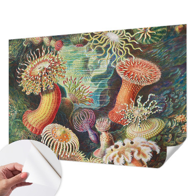 3D fototapetas sienoms su išgalvoto anemono motyvu