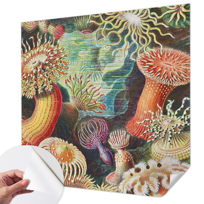 3D fototapetas sienoms su išgalvoto anemono motyvu