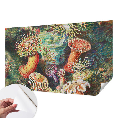 3D fototapetas sienoms su išgalvoto anemono motyvu