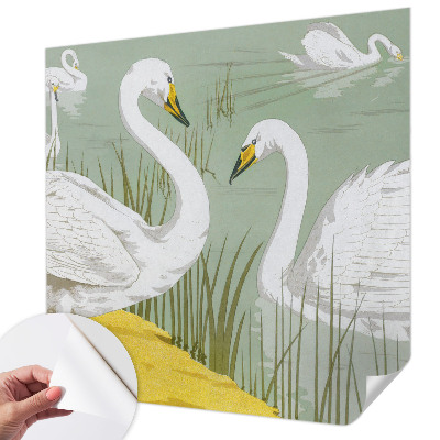 Fototapetas vaiko kambariui Svanesøen