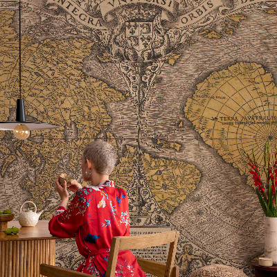 3D fototapetas sienoms Istorinė kartografija