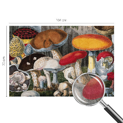 Fototapetas vaikams Botanikos pelkė