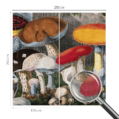 Fototapetas vaikams Botanikos pelkė