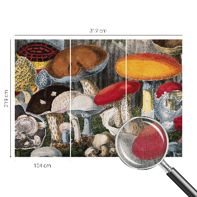 Fototapetas vaikams Botanikos pelkė