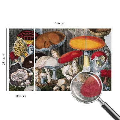 Fototapetas vaikams Botanikos pelkė