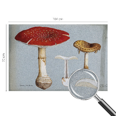 Savaime lipnus fototapetas Svampegraveringai