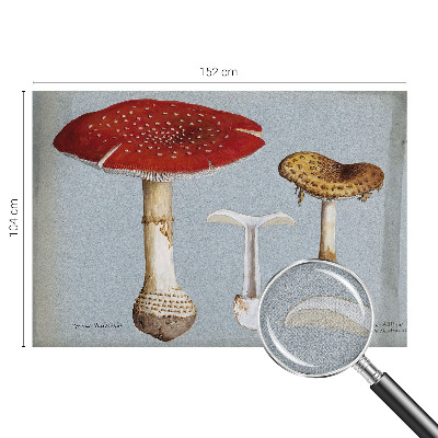 Savaime lipnus fototapetas skirtas svampegraviravimui