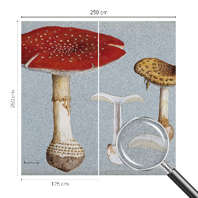 Savaime lipnus fototapetas skirtas svampegraviravimui
