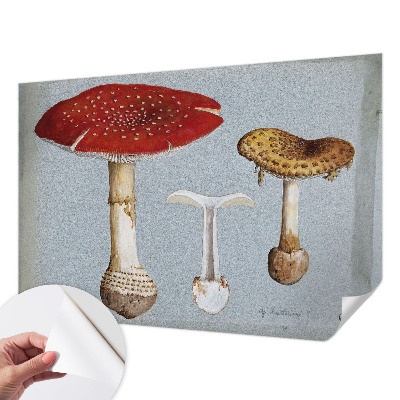 Savaime lipnus fototapetas skirtas svampegraviravimui