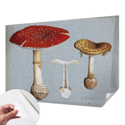 Savaime lipnus fototapetas skirtas svampegraviravimui