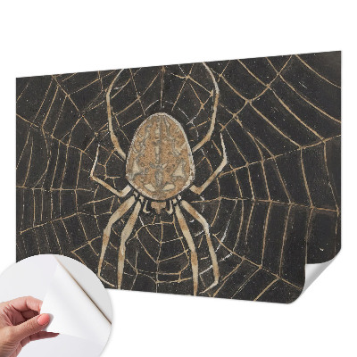 Fototapetai su voratinkliu dekoru