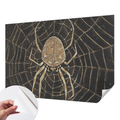 Fototapetai su voratinkliu dekoru