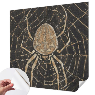 Fototapetai su voratinkliu dekoru