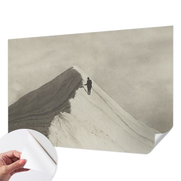 Tapetai Ensom klatra