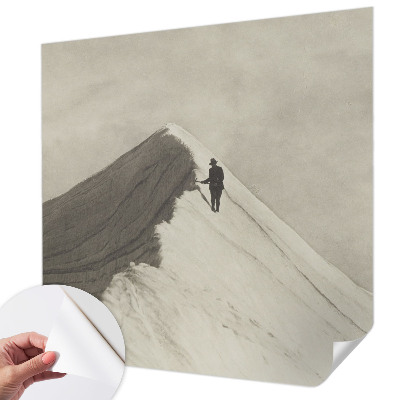 Tapetai Ensom klatra