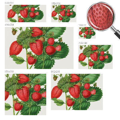 3D fototapetas Vasaros frugras