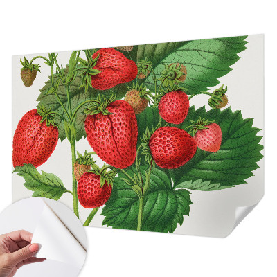 3D fototapetas su vasaros fone esančiu augalų motyvu