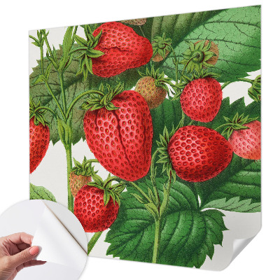 3D fototapetas su vasaros fone esančiu augalų motyvu