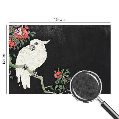 Savaime lipnus fototapetas Granatæble papegøje