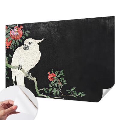 Savaime lipnus fototapetas Granatæble papegøje