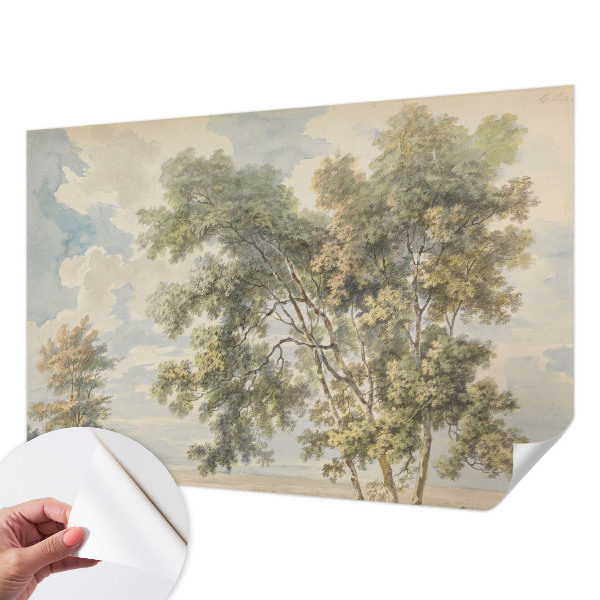 Tapetai Romantiška prigimtis