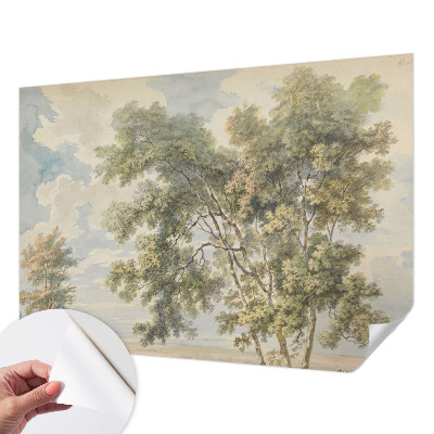 Tapetai Romantiška prigimtis