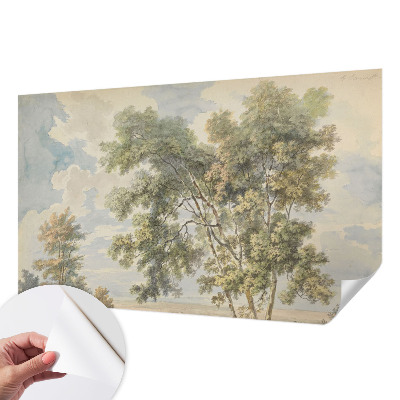 Tapetai Romantiška prigimtis