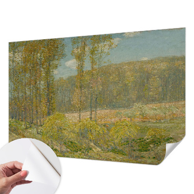 3D fototapetas su Skovlandskabas motyvu