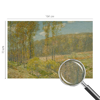 3D fototapetas su Skovlandskabas motyvu