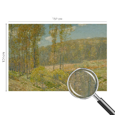3D fototapetas su Skovlandskabas motyvu