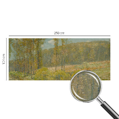 3D fototapetas Skovlandskabas