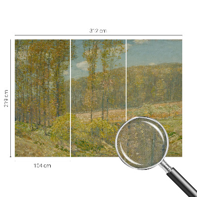 3D fototapetas su Skovlandskabas motyvu
